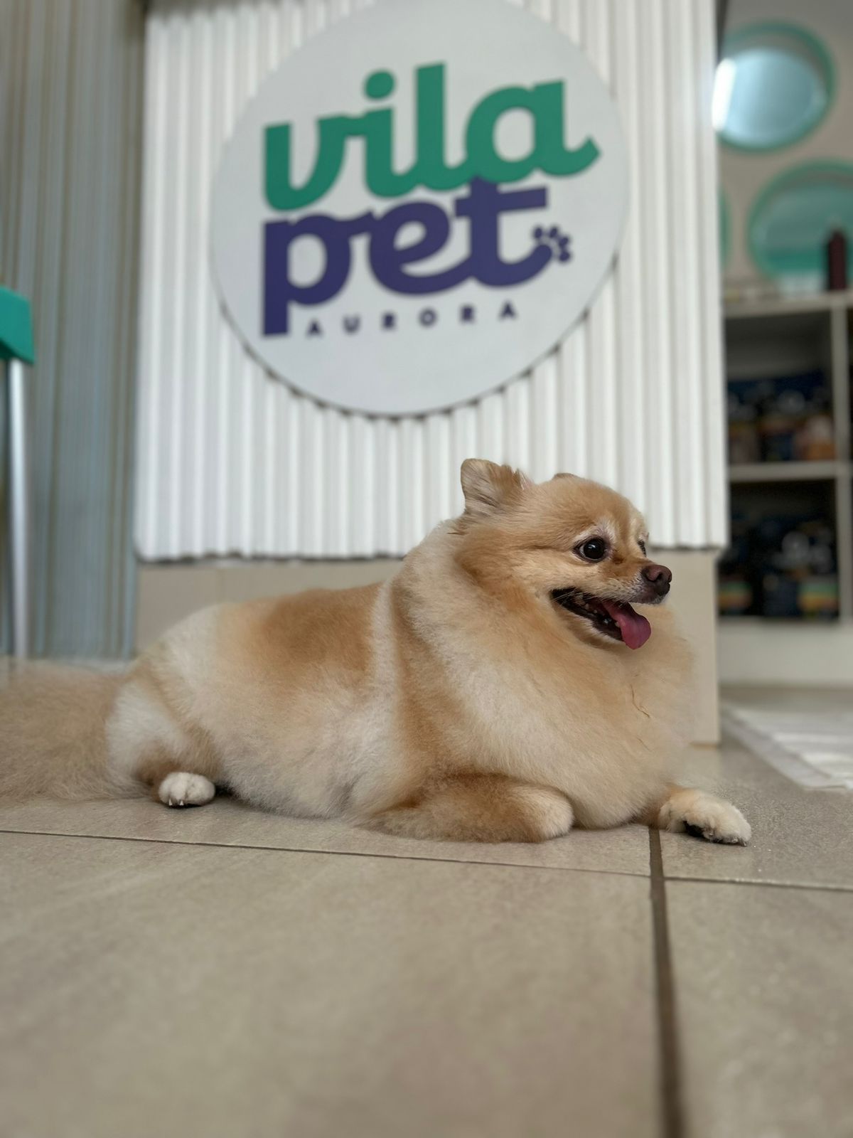 Pet7